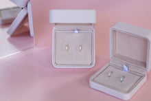 Load image into Gallery viewer, Luna Huggies