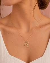 Load image into Gallery viewer, The Anniversary Necklace
